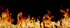 flame3.gif (28560 octets)
